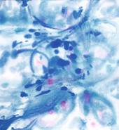 Battements d'aile dans le vent 60x66.jpg