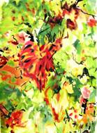 Vigne_tropicales  P.jpg