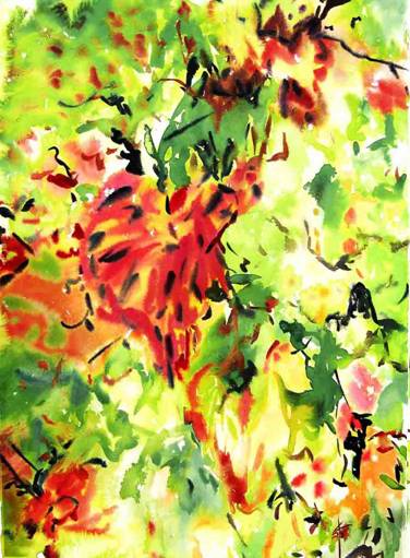 Vignes_tropicales .jpg