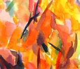 Vigne_synphonie2  P.jpg